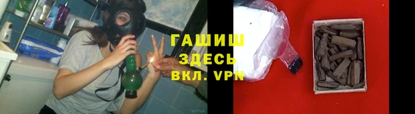 трава Белокуриха