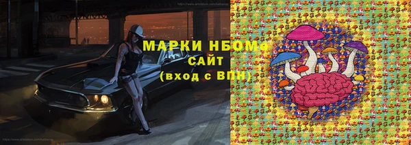 трава Белокуриха