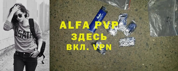 трава Белокуриха