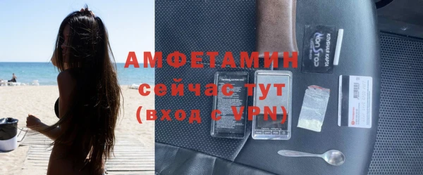 трава Белокуриха