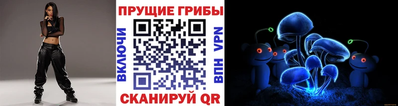 закладка  Боготол  Галлюциногенные грибы ЛСД 